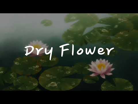 Dry Flower / ドライフラワー | Yuuri | Sequel of Kakurenbo (ROMAJI/ENGLISH) LYRICS
