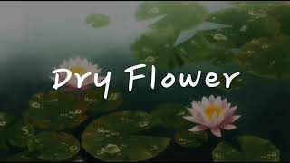Dry Flower / ドライフラワー | Yuuri | Sequel of Kakurenbo (ROMAJI/ENGLISH) LYRICS