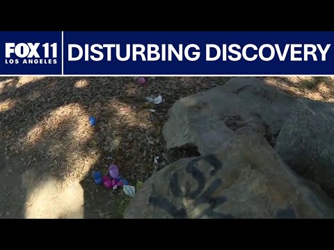 Skull found during Easter egg hunt in Long Beach | FOX 11 LA
