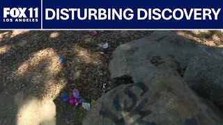 Famous Skull found during Easter egg hunt in Long Beach | FOX 11 LA Net Worth