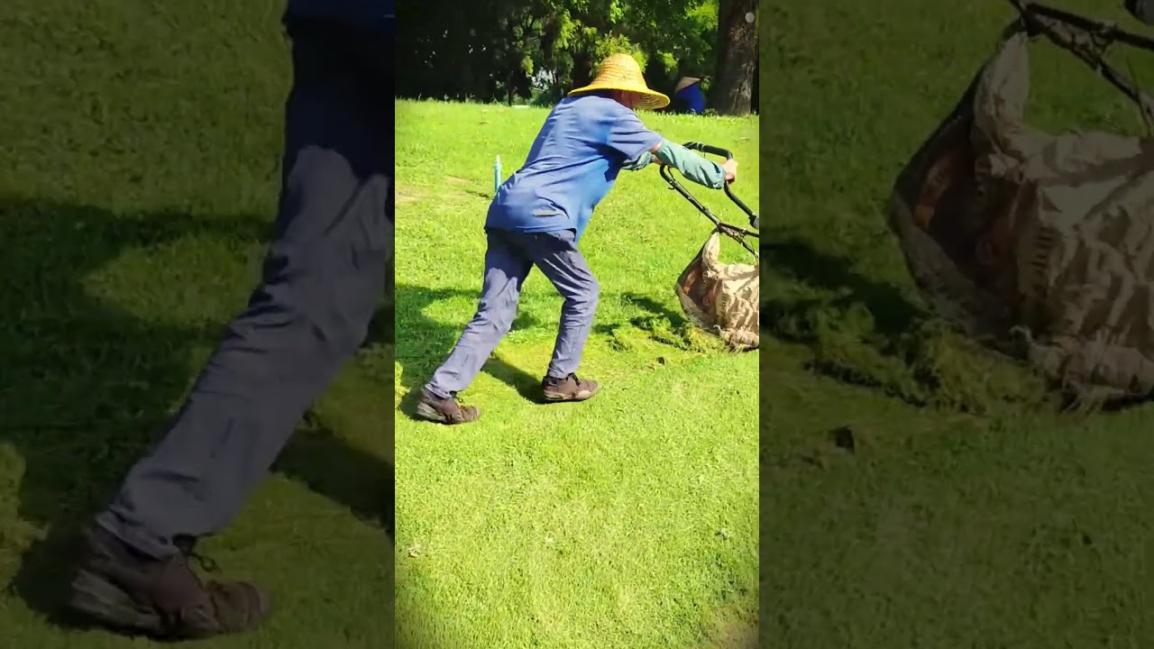 techniques and skills to ensure effective and neat grass cutting 