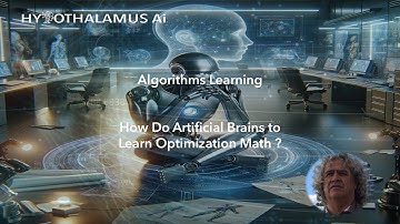 HAI - Algorithms Learning. How Do Artificial Brains Learn Optimization Math ?