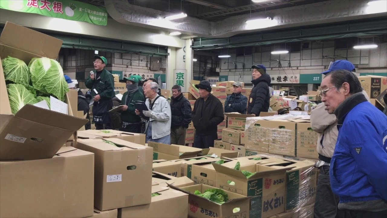 Kyoto Wholesale Market Vegetable and Fruit Auction, Japan YouTube