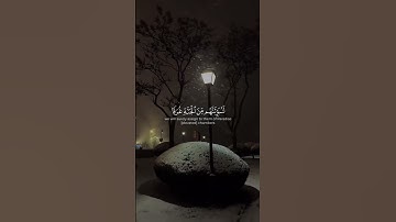 ياعبادي الذين آمنوا إن أرضي واسعة فإياي فاعبدون | الآية 56 من سورة العنكبوت #ياسر_الدوسري #قران_كريم