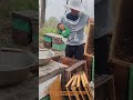 Beekeeper Uses Electric Shaker to Remove Bees for Honey Harvest 🐝