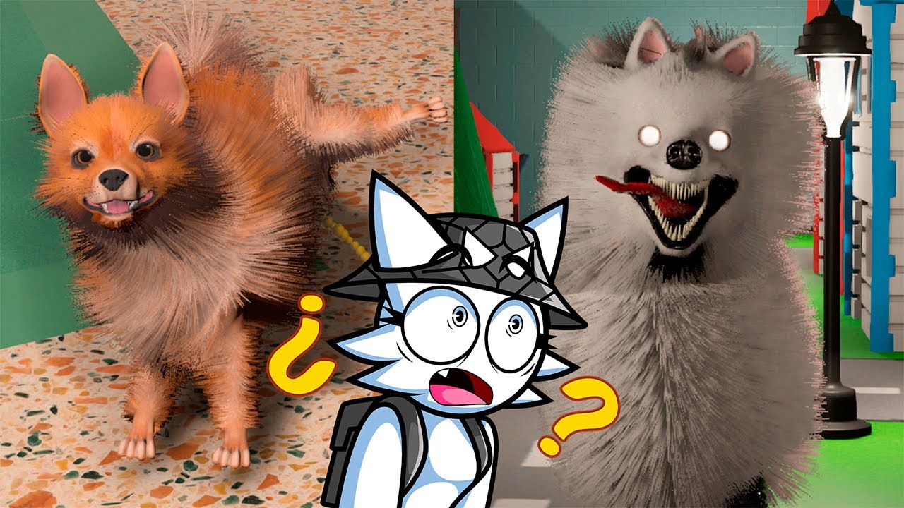 NO ALIMENTES AL PERRO 🐶💀