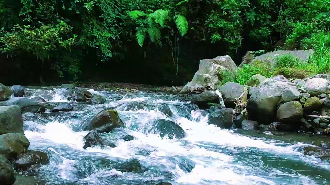 Continuous Strong River  10 Hours Natural White Noise Therapy