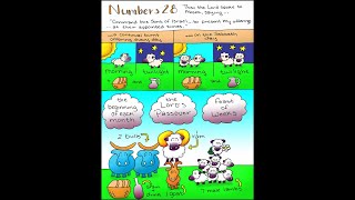 NUMBERS  Chapter  28