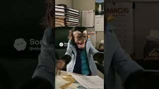 😱 "¡Cobrale a la casta!": Un mono capuchino contra los impuestos