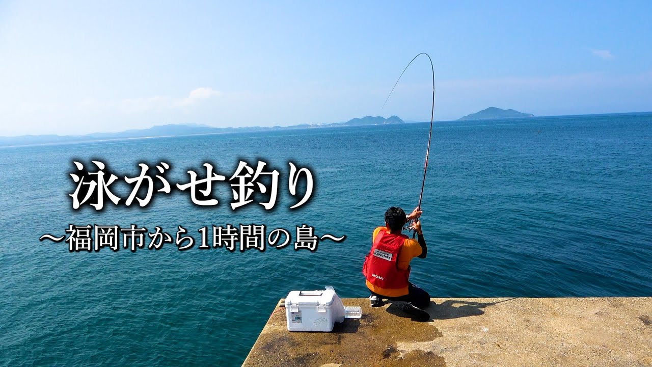 福岡から１時間の「離島」で泳がせ釣りこれがアタリの瞬間【水中映像有り】