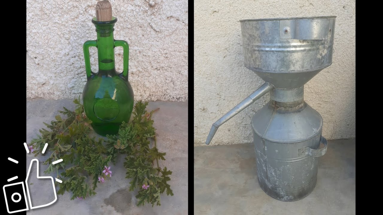 Дистилляция герани. Герань. Способ для любого другого растения или цветка