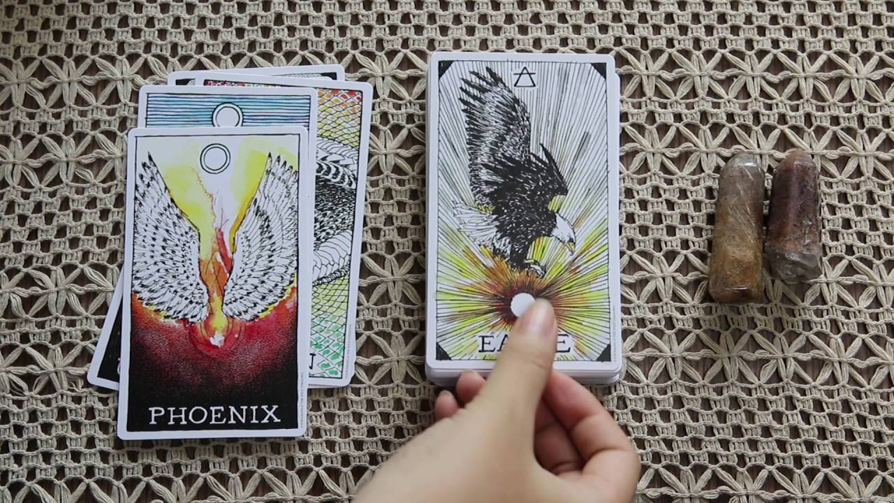 Animal Spirit Deck - Review & Mở Hộp