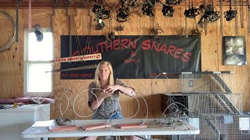 The PERFECT Cable Restraint for Wisconsin Coyote & Bobcat Trapping