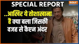 Special Report : तोशाखाना क्या है ? |Imran Khan News | What is Toshakhana Case | Shehbaz Sharif News