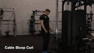 Cable Bicep Curl - Beginners Guide