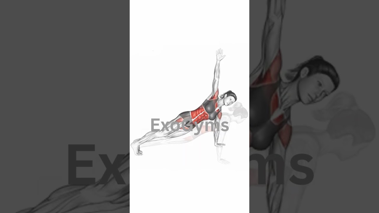 Front to Side Plank Workout 