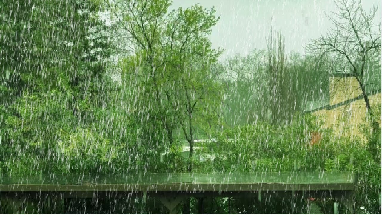 Relieve fatigue with the gentle sound of rain on a rainy day, fall