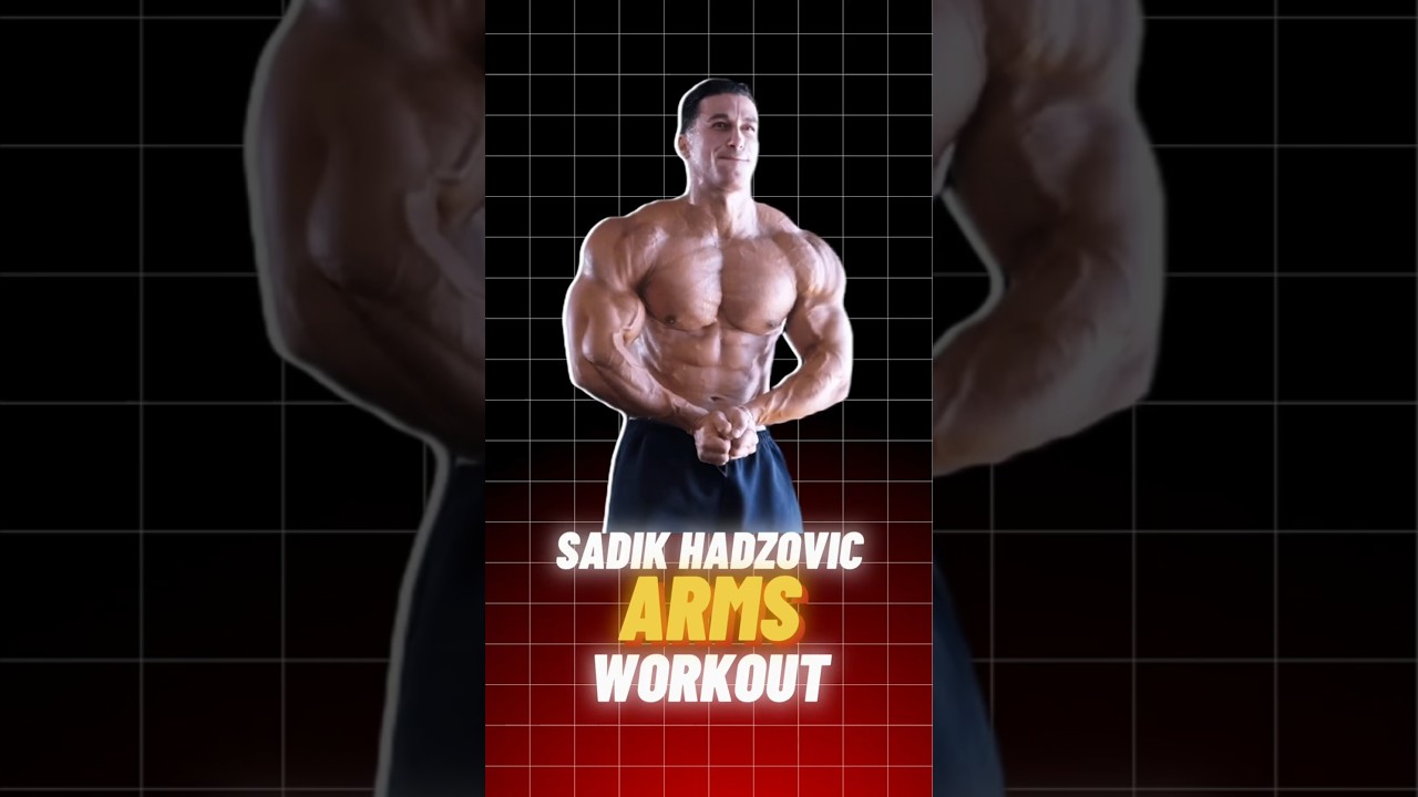 Sadik Hadzovic ARMS Workout 