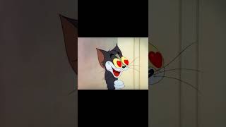 Doll outfits that have Tom totally obsessed 😂 #bjd  #doll  #sewing  #手工 #shorts  #barbie #fashion