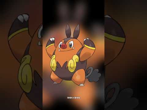 寶可夢圖鑑 #pokemon No.0499 炒炒豬チャオブー Pignite#0499 #寶可夢卡牌 #pokemongo #寶可夢 #shorts #神奇寶貝 #第四世代