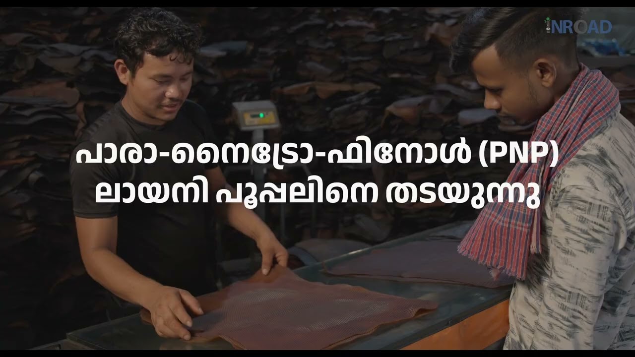 Grading and spotting common defects, taught in Malayalam
