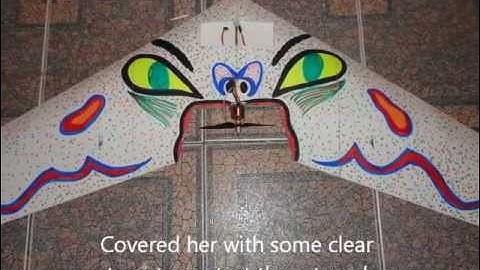 My DIY ritewing zephyr.wmv