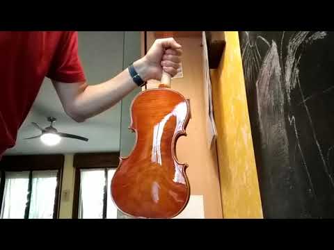 Applicare una mano di vernice ad olio al violino