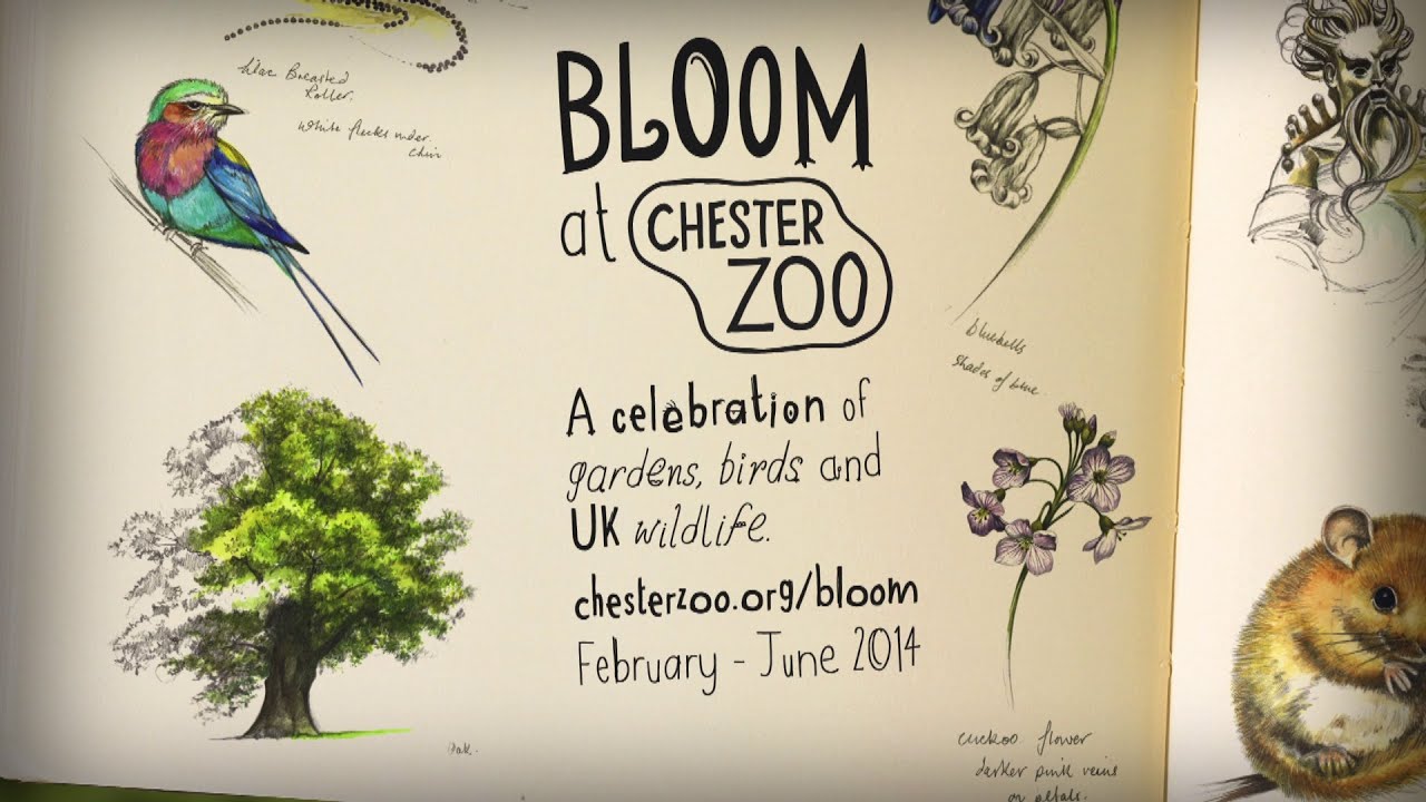 Bloom at Chester Zoo: A celebration of gardens, birds and UK wildlife.