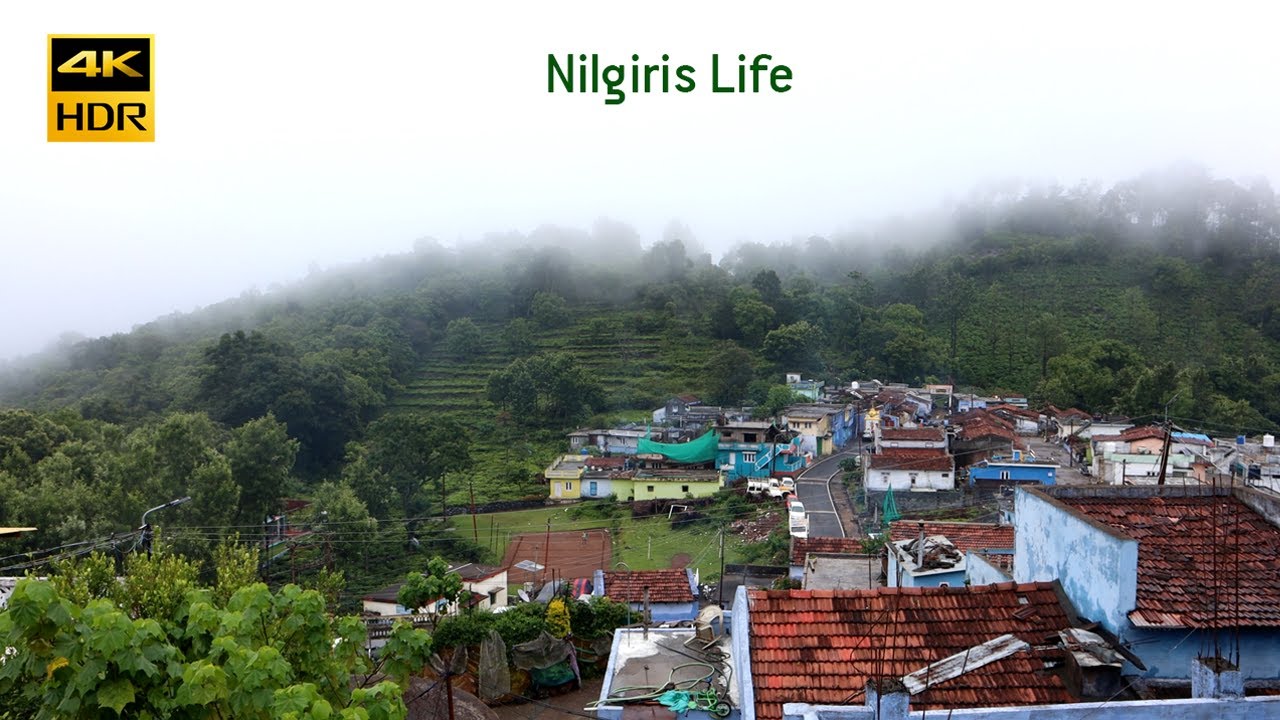 நீலகிரி மலைகிராம வாழ்க்கை ☔️ Village Life in Ooty |  Culture, & Traditions | Nilgiris 
