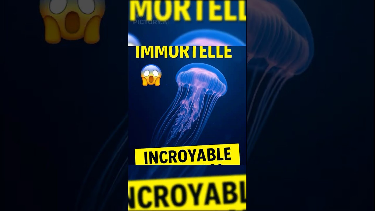 “La méduse IMMORTELLE existe vraiment 😱🌊 
