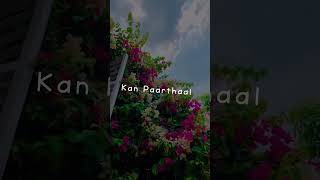 July month tamil song #tamilsong #july #lovesongstatus #tamilsonglyrics #trending #editing #lobe❤️‍🩹