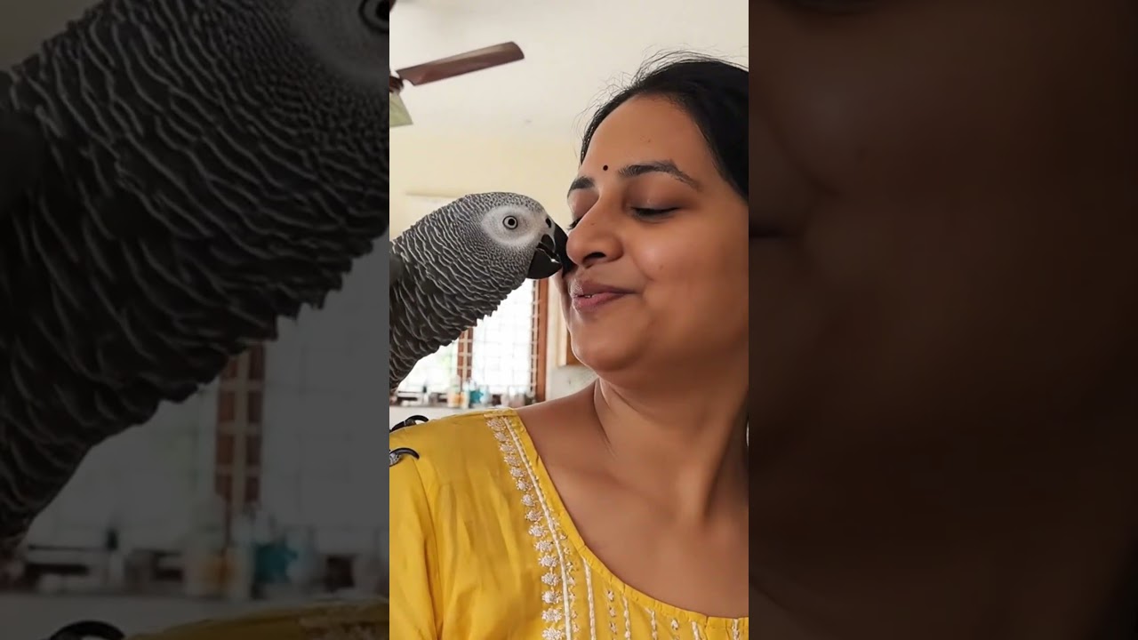 Cute or Dangerous? | Clingy Parrot Problems & Solutions 