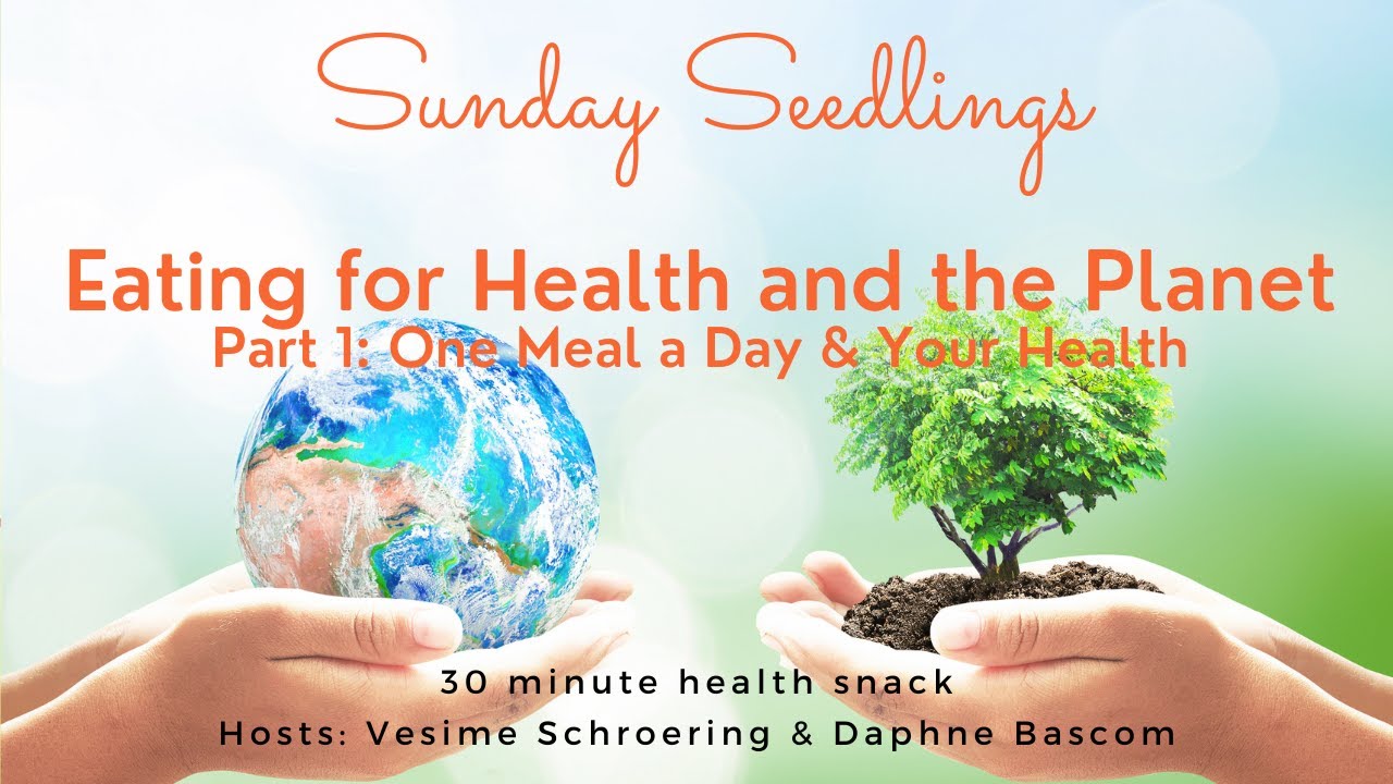 Every Meal Can Heal - The OMD Plan