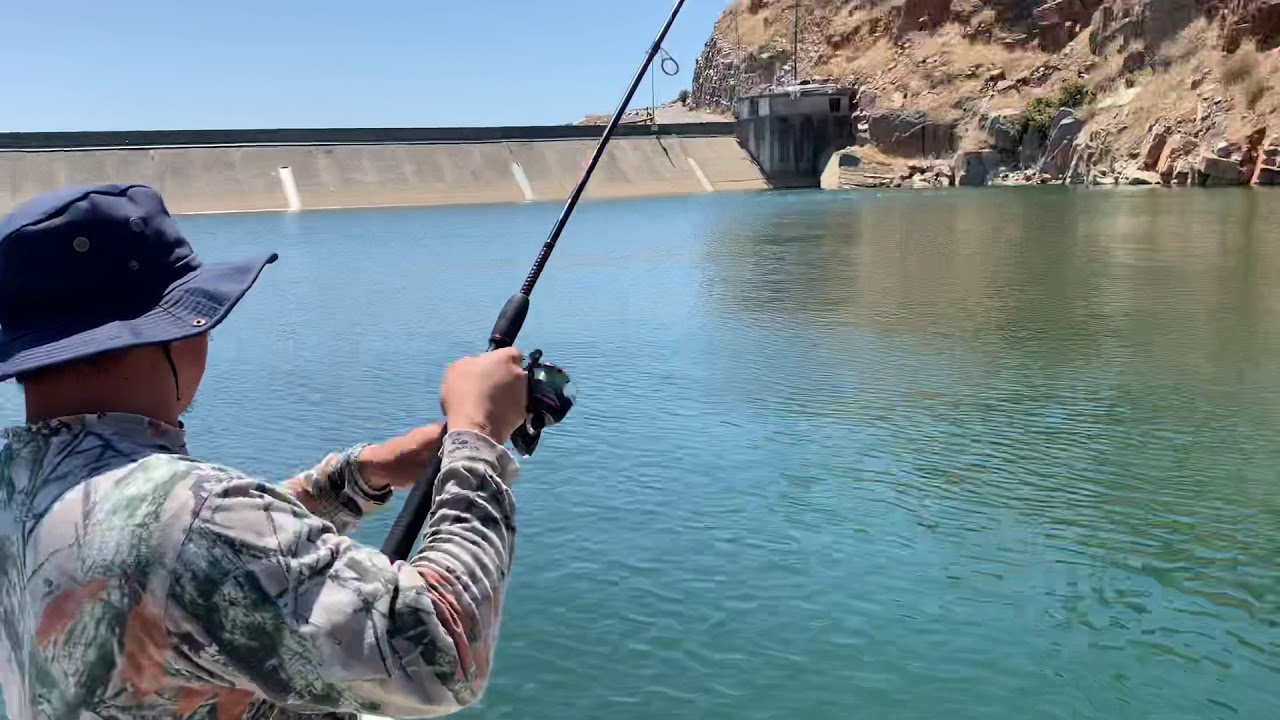 Fishing for trout 2 - YouTube
