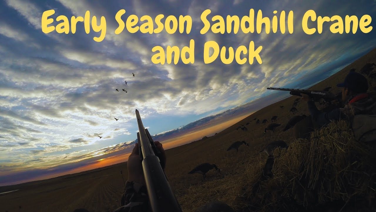 Early Season Sandhill Crane and Duck Hunt w/ Benelliboyz {Saskatchewan, Canada} YouTube