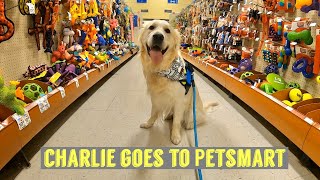 My Dog Meets New Friends At The Store | Charlie Goes To Petsmart