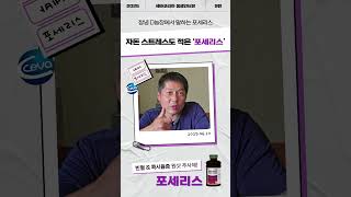 자돈 스트레스도 적은 포세리스