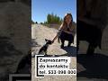 #realestate #pracebudowlane #nieruchomości #działki #działkanasprzedaż #działkabudowlana #dog #home