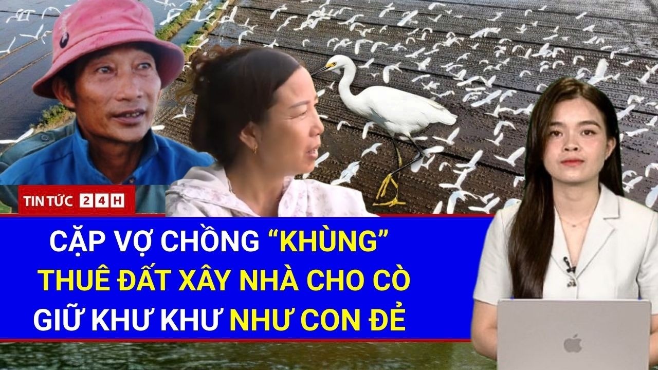 Toàn Cảnh Vợ Chồng 'khùng' Bỏ Tiền Thuê Đất Gây Rừng Nuôi Cò, Coi Như Con Đẻ | Tin Tức Việt Nam