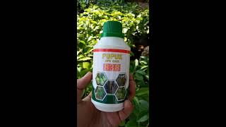 Perangsang Buah Paling Manjur
