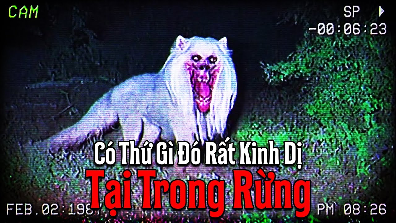 (r/Nosleep) Có Thứ Gì Đó Rất Kinh Tởm Trong Rừng