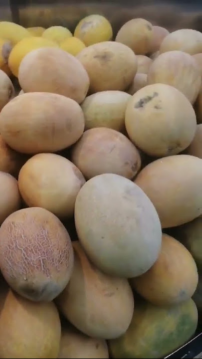 melon nya mantap gede.gede banget#tkw arab#shorts