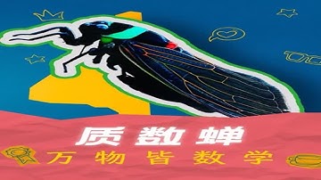 万物皆数学！质数蝉，一种靠数学质数存活万年的蝉 #数学思维 #质数
