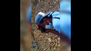 lagu (papua o  TETE MANIS JAGA DORANG SEMUA 💔🎵 (sentani 01/04/2022) TETE MANIS JAGA DORANG SEMUA 💪💪