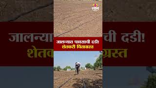 जालन्यात पावसाची प्रतीक्षा! पेरण्या रखडल्या; खरीप हंगाम धोक्यात? | Jalna Rain News