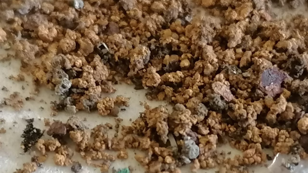 فحص تبر الذهب