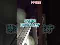 天井を破壊してスズメバチを駆除する　#shorts