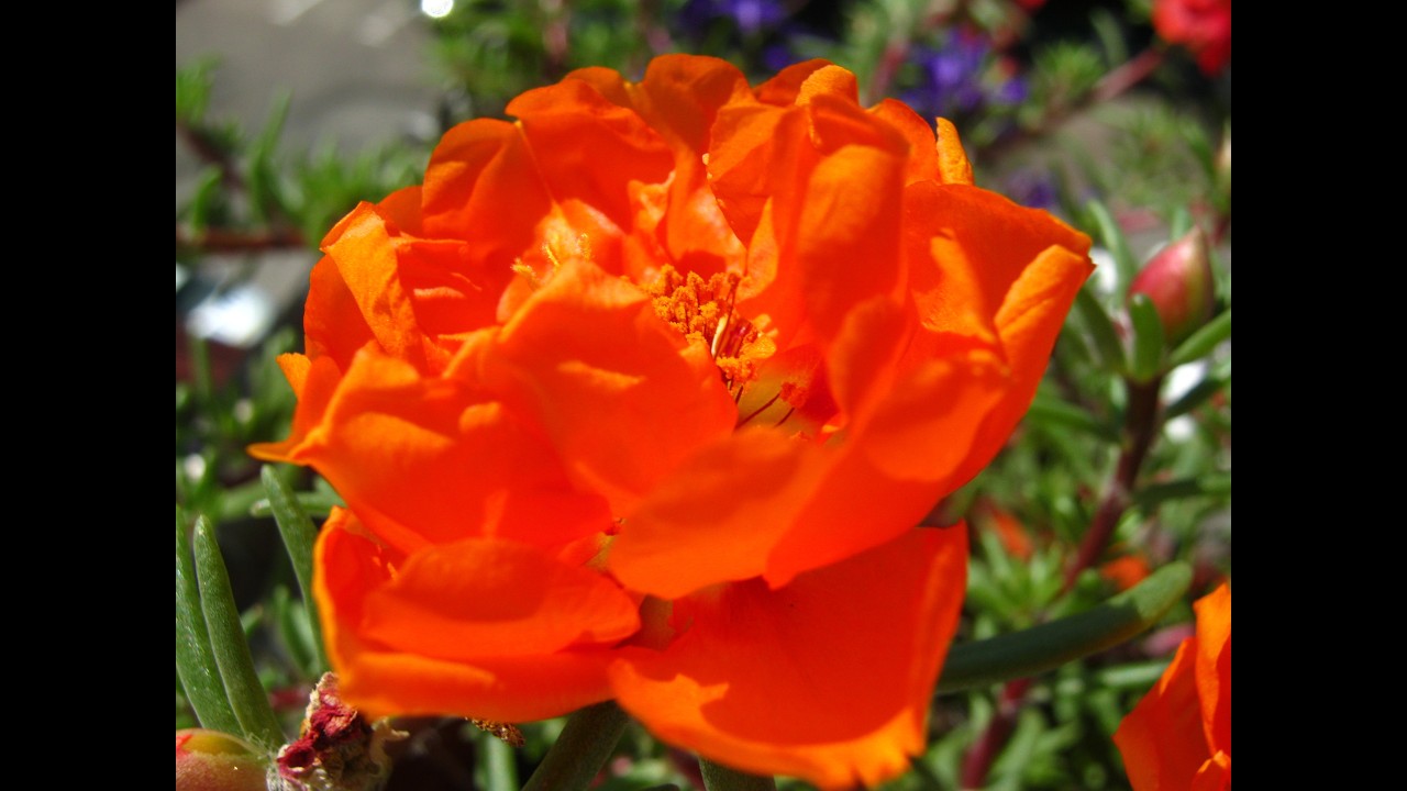 Весна, сезон обрезки и обработок начинается.