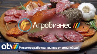 Видео Мясопереработка: выживет сильнейший (автор: otv studio)