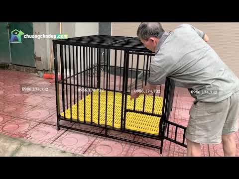 Video Chuồng Chó Bằng Sắt Hộp - Lắp Ghép, Tiện Lợi, Rẻ Đẹp -... - youtube